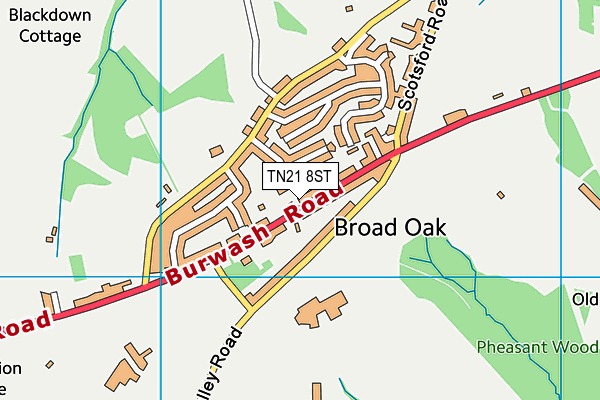 TN21 8ST map - OS VectorMap District (Ordnance Survey) TN21 8ST map - OS VectorMap District (Ordnance Survey)
