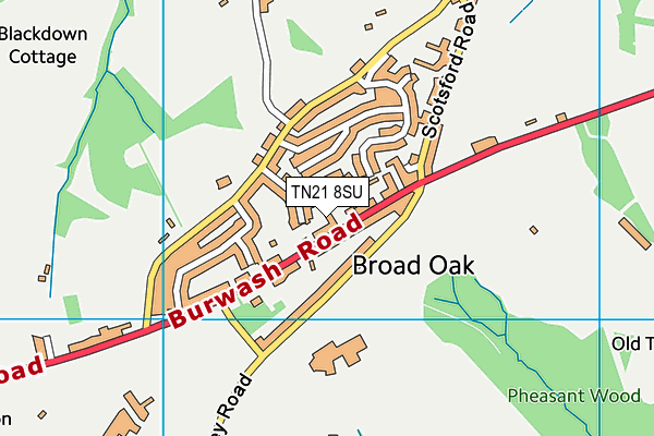 TN21 8SU map - OS VectorMap District (Ordnance Survey) TN21 8SU map - OS VectorMap District (Ordnance Survey)