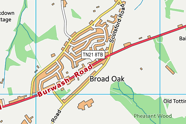 TN21 8TB map - OS VectorMap District (Ordnance Survey) TN21 8TB map - OS VectorMap District (Ordnance Survey)