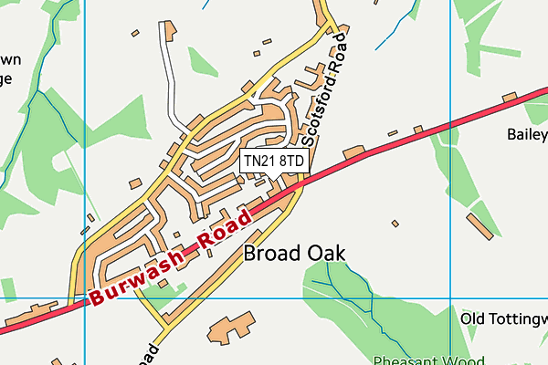 TN21 8TD map - OS VectorMap District (Ordnance Survey) TN21 8TD map - OS VectorMap District (Ordnance Survey)