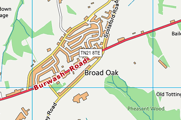 TN21 8TE map - OS VectorMap District (Ordnance Survey) TN21 8TE map - OS VectorMap District (Ordnance Survey)