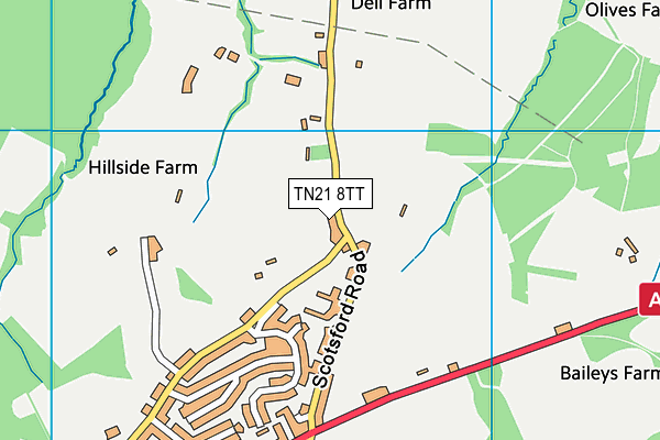 TN21 8TT map - OS VectorMap District (Ordnance Survey) TN21 8TT map - OS VectorMap District (Ordnance Survey)