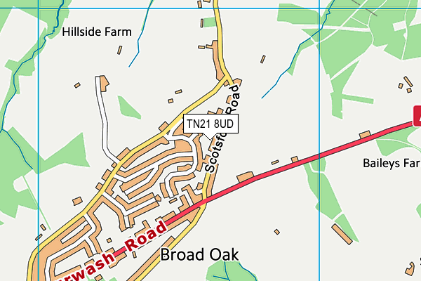 TN21 8UD map - OS VectorMap District (Ordnance Survey) TN21 8UD map - OS VectorMap District (Ordnance Survey)