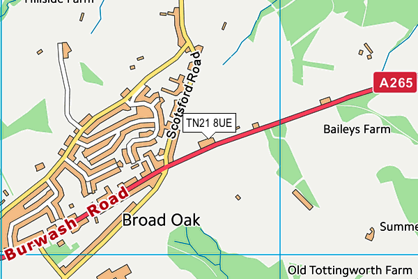 TN21 8UE map - OS VectorMap District (Ordnance Survey) TN21 8UE map - OS VectorMap District (Ordnance Survey)