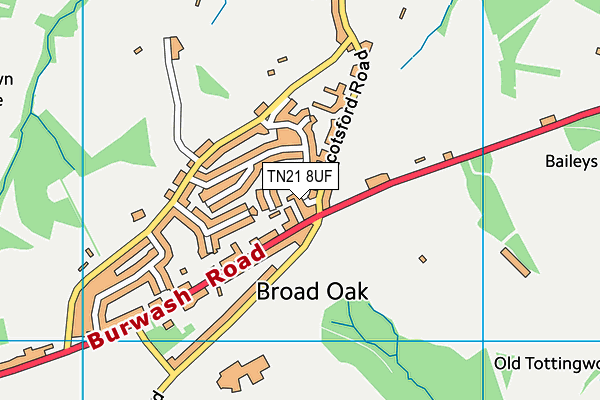 TN21 8UF map - OS VectorMap District (Ordnance Survey) TN21 8UF map - OS VectorMap District (Ordnance Survey)