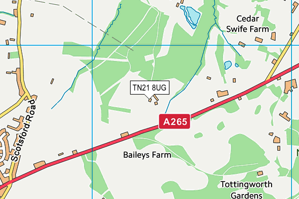 TN21 8UG map - OS VectorMap District (Ordnance Survey) TN21 8UG map - OS VectorMap District (Ordnance Survey)