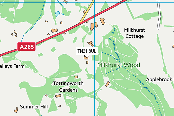 TN21 8UL map - OS VectorMap District (Ordnance Survey) TN21 8UL map - OS VectorMap District (Ordnance Survey)