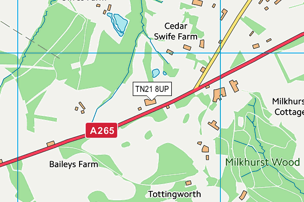TN21 8UP map - OS VectorMap District (Ordnance Survey) TN21 8UP map - OS VectorMap District (Ordnance Survey)
