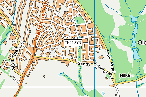 TN21 8YN map - OS VectorMap District (Ordnance Survey) TN21 8YN map - OS VectorMap District (Ordnance Survey)