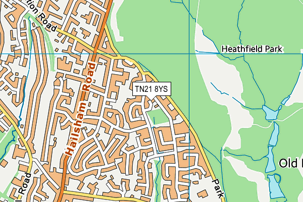 TN21 8YS map - OS VectorMap District (Ordnance Survey) TN21 8YS map - OS VectorMap District (Ordnance Survey)