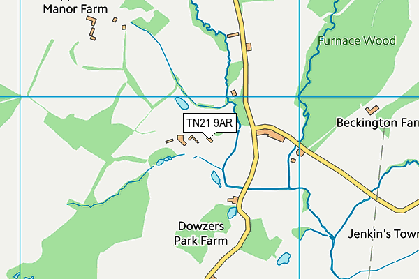 TN21 9AR map - OS VectorMap District (Ordnance Survey) TN21 9AR map - OS VectorMap District (Ordnance Survey)
