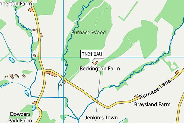 TN21 9AU map - OS VectorMap District (Ordnance Survey) TN21 9AU map - OS VectorMap District (Ordnance Survey)