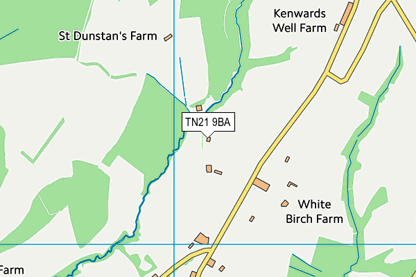 TN21 9BA map - OS VectorMap District (Ordnance Survey) TN21 9BA map - OS VectorMap District (Ordnance Survey)