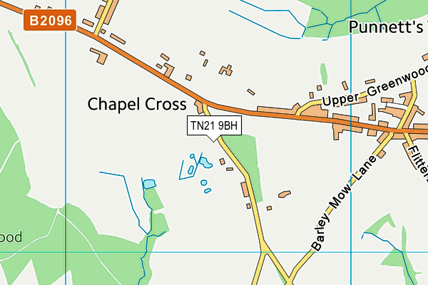 TN21 9BH map - OS VectorMap District (Ordnance Survey) TN21 9BH map - OS VectorMap District (Ordnance Survey)