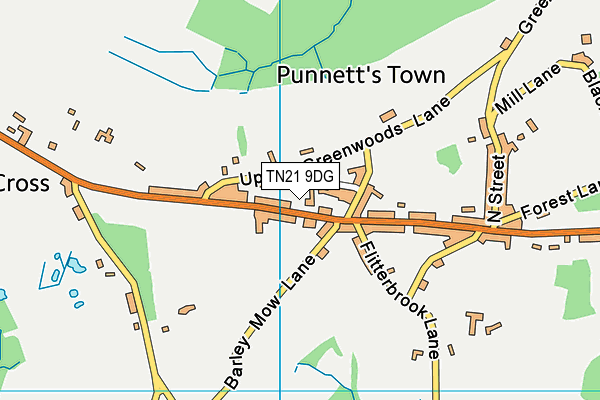 TN21 9DG map - OS VectorMap District (Ordnance Survey) TN21 9DG map - OS VectorMap District (Ordnance Survey)