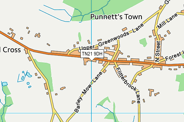 TN21 9DH map - OS VectorMap District (Ordnance Survey) TN21 9DH map - OS VectorMap District (Ordnance Survey)