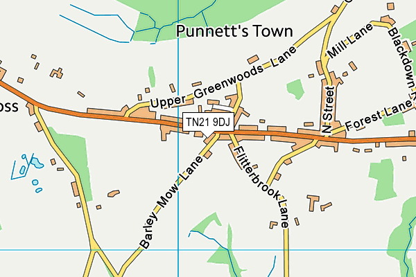 TN21 9DJ map - OS VectorMap District (Ordnance Survey)