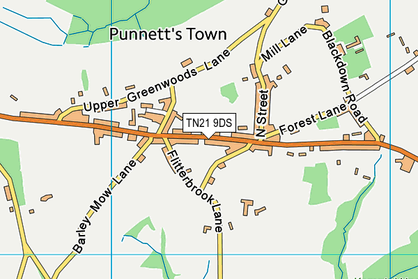 TN21 9DS map - OS VectorMap District (Ordnance Survey) TN21 9DS map - OS VectorMap District (Ordnance Survey)