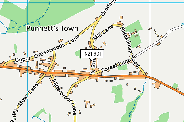 TN21 9DT map - OS VectorMap District (Ordnance Survey) TN21 9DT map - OS VectorMap District (Ordnance Survey)