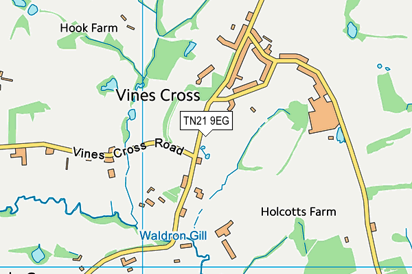 TN21 9EG map - OS VectorMap District (Ordnance Survey) TN21 9EG map - OS VectorMap District (Ordnance Survey)