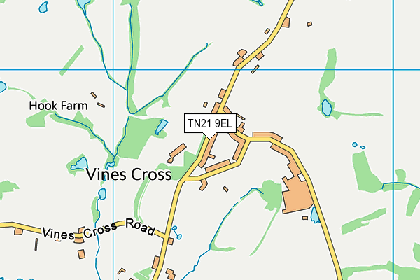 TN21 9EL map - OS VectorMap District (Ordnance Survey) TN21 9EL map - OS VectorMap District (Ordnance Survey)