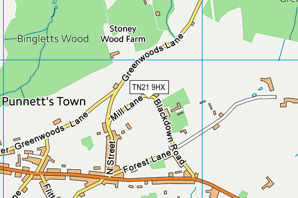 TN21 9HX map - OS VectorMap District (Ordnance Survey) TN21 9HX map - OS VectorMap District (Ordnance Survey)