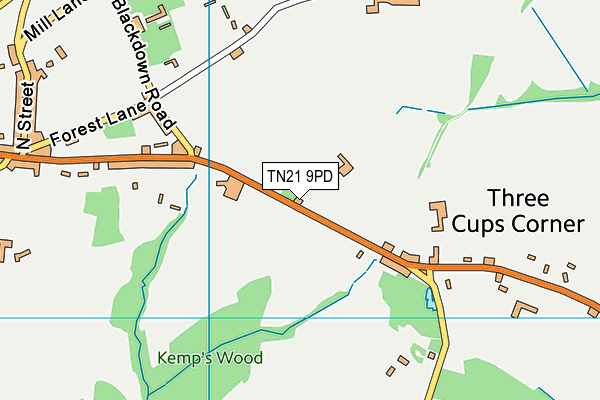 TN21 9PD map - OS VectorMap District (Ordnance Survey) TN21 9PD map - OS VectorMap District (Ordnance Survey)