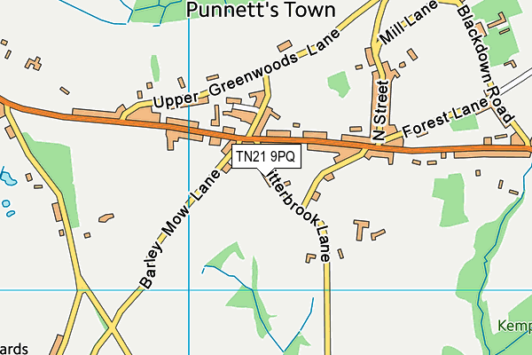 TN21 9PQ map - OS VectorMap District (Ordnance Survey)