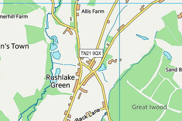 TN21 9QX map - OS VectorMap District (Ordnance Survey) TN21 9QX map - OS VectorMap District (Ordnance Survey)