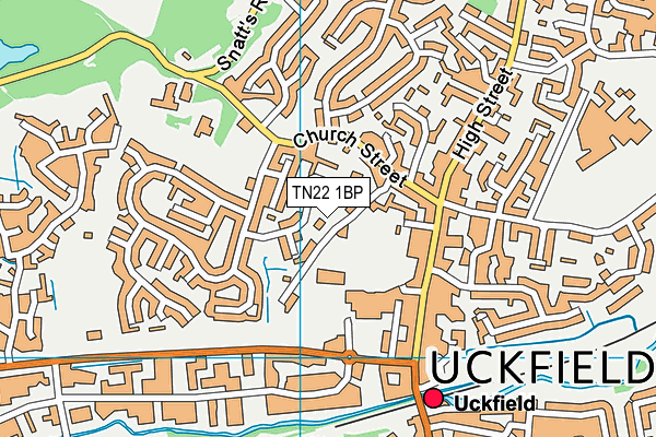 TN22 1BP map - OS VectorMap District (Ordnance Survey) TN22 1BP map - OS VectorMap District (Ordnance Survey)