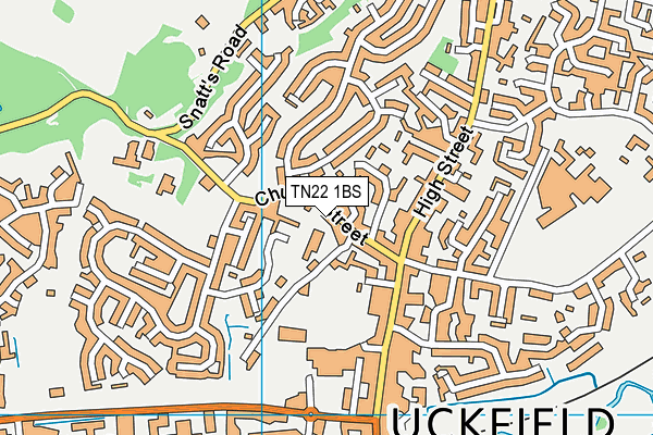 TN22 1BS map - OS VectorMap District (Ordnance Survey) TN22 1BS map - OS VectorMap District (Ordnance Survey)