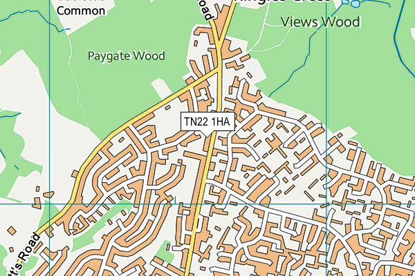 TN22 1HA map - OS VectorMap District (Ordnance Survey) TN22 1HA map - OS VectorMap District (Ordnance Survey)
