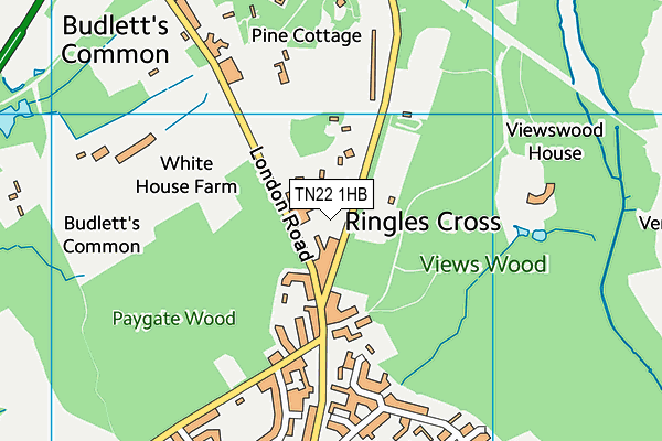 TN22 1HB map - OS VectorMap District (Ordnance Survey) TN22 1HB map - OS VectorMap District (Ordnance Survey)