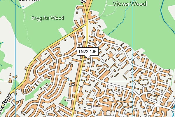 TN22 1JE map - OS VectorMap District (Ordnance Survey) TN22 1JE map - OS VectorMap District (Ordnance Survey)