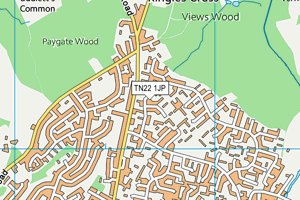 TN22 1JP map - OS VectorMap District (Ordnance Survey) TN22 1JP map - OS VectorMap District (Ordnance Survey)