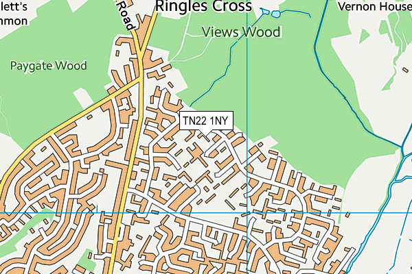 TN22 1NY map - OS VectorMap District (Ordnance Survey) TN22 1NY map - OS VectorMap District (Ordnance Survey)