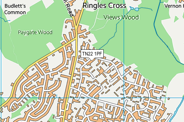TN22 1PF map - OS VectorMap District (Ordnance Survey) TN22 1PF map - OS VectorMap District (Ordnance Survey)