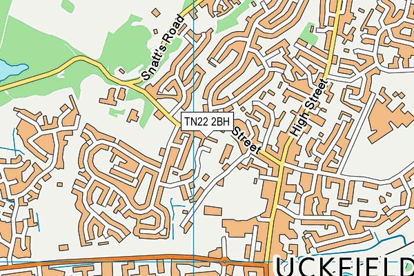 TN22 2BH map - OS VectorMap District (Ordnance Survey) TN22 2BH map - OS VectorMap District (Ordnance Survey)
