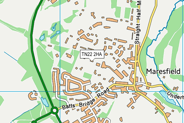 TN22 2HA map - OS VectorMap District (Ordnance Survey) TN22 2HA map - OS VectorMap District (Ordnance Survey)