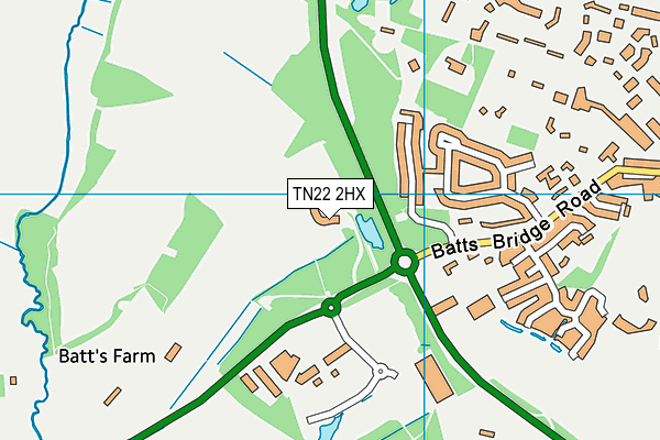 TN22 2HX map - OS VectorMap District (Ordnance Survey) TN22 2HX map - OS VectorMap District (Ordnance Survey)