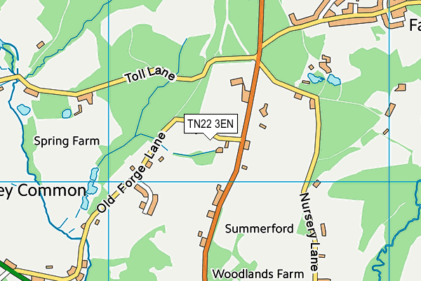 TN22 3EN map - OS VectorMap District (Ordnance Survey) TN22 3EN map - OS VectorMap District (Ordnance Survey)