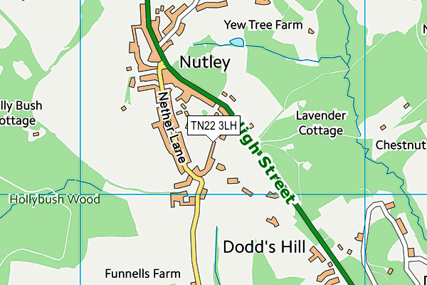 TN22 3LH map - OS VectorMap District (Ordnance Survey) TN22 3LH map - OS VectorMap District (Ordnance Survey)