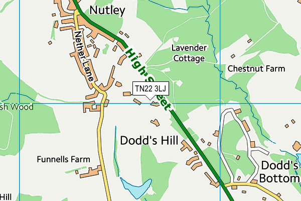 TN22 3LJ map - OS VectorMap District (Ordnance Survey)