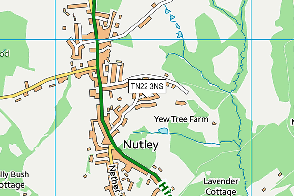 TN22 3NS map - OS VectorMap District (Ordnance Survey) TN22 3NS map - OS VectorMap District (Ordnance Survey)