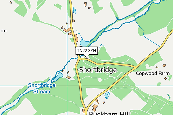 TN22 3YH map - OS VectorMap District (Ordnance Survey) TN22 3YH map - OS VectorMap District (Ordnance Survey)