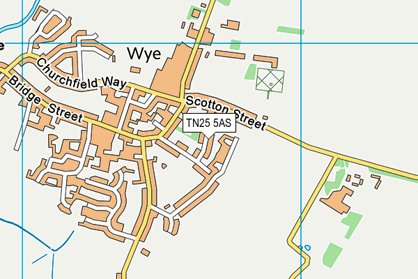 TN25 5AS map - OS VectorMap District (Ordnance Survey)