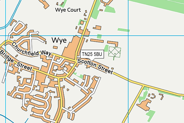 TN25 5BU map - OS VectorMap District (Ordnance Survey) TN25 5BU map - OS VectorMap District (Ordnance Survey)