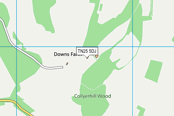TN25 5DJ map - OS VectorMap District (Ordnance Survey) TN25 5DJ map - OS VectorMap District (Ordnance Survey)
