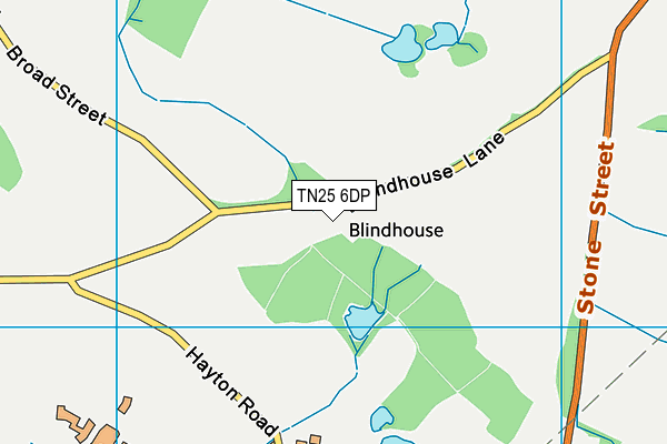 TN25 6DP map - OS VectorMap District (Ordnance Survey) TN25 6DP map - OS VectorMap District (Ordnance Survey)