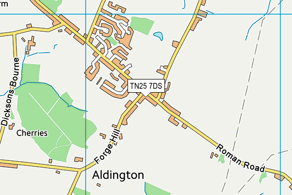 TN25 7DS map - OS VectorMap District (Ordnance Survey) TN25 7DS map - OS VectorMap District (Ordnance Survey)